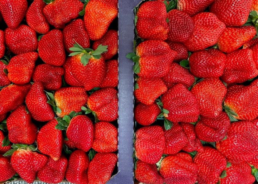 Gem-Pack Berries is focused on working with its retail customers to maneuver delays and transition into a successful late spring and summer berry season.