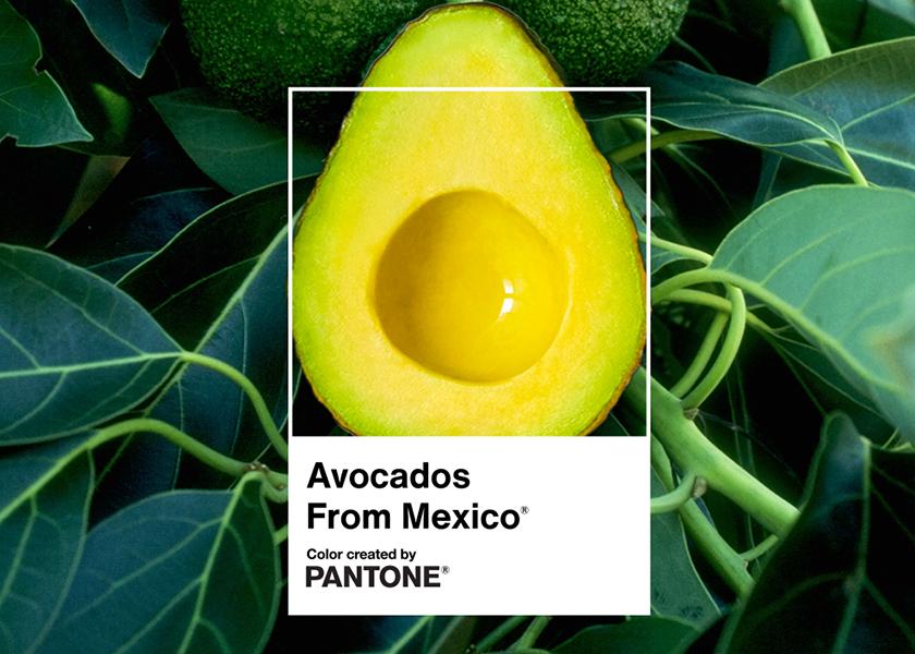 Avocados From Mexico is partnering with iconic color swatch company Pantone to launch an official avocado green hue. 
