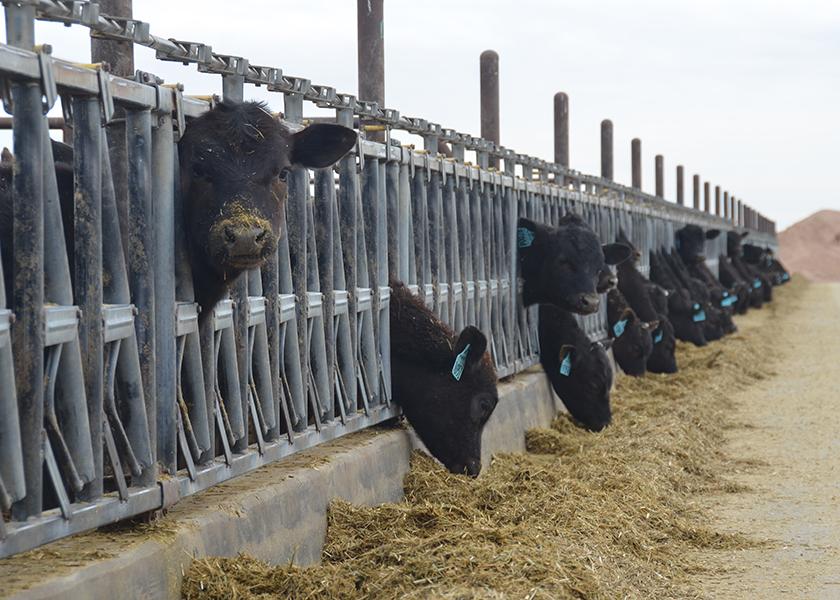 Sustaire: Beef and Dairy Industries Must Cooperate For Greater Success