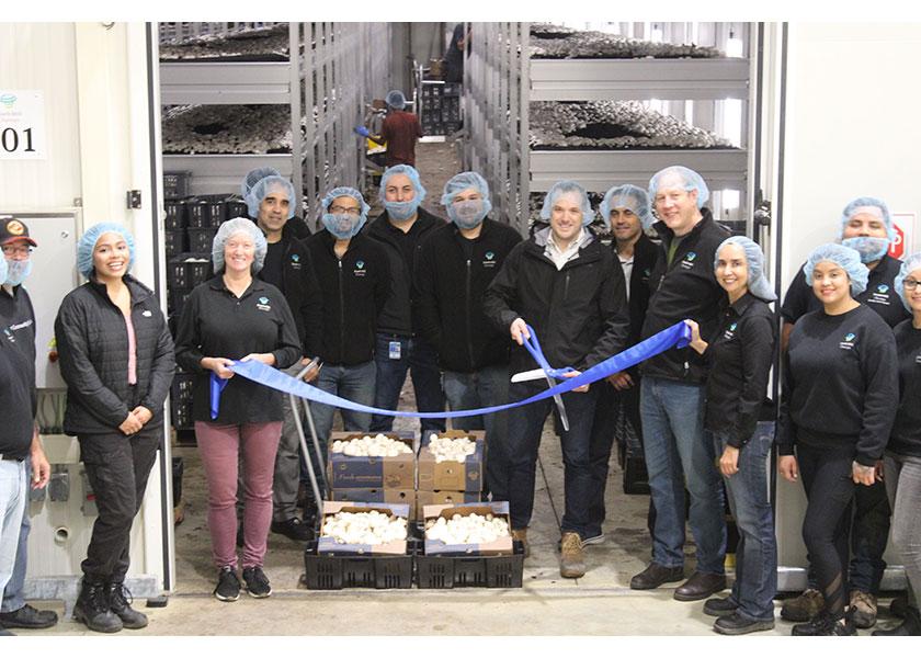 Kennett Square, Pa.-based South Mill Champs plans to officially begin operations out of “the most modern, state-of-the-art mushroom farm in the U.S.” in Oxford, Pa., on Jan. 19, says Michael Richmond, vice president of sales. The new location will increase the company’s production by 20%, he says.