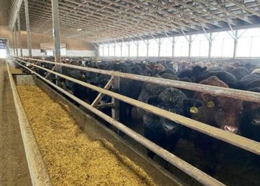 With the opportunity to visit a number of cattle feeding operations and learn a bit about how cattle feeding works in this unique environment, Dr. Derrell Peel of OSU shares his experience from his recent trip to Canada.