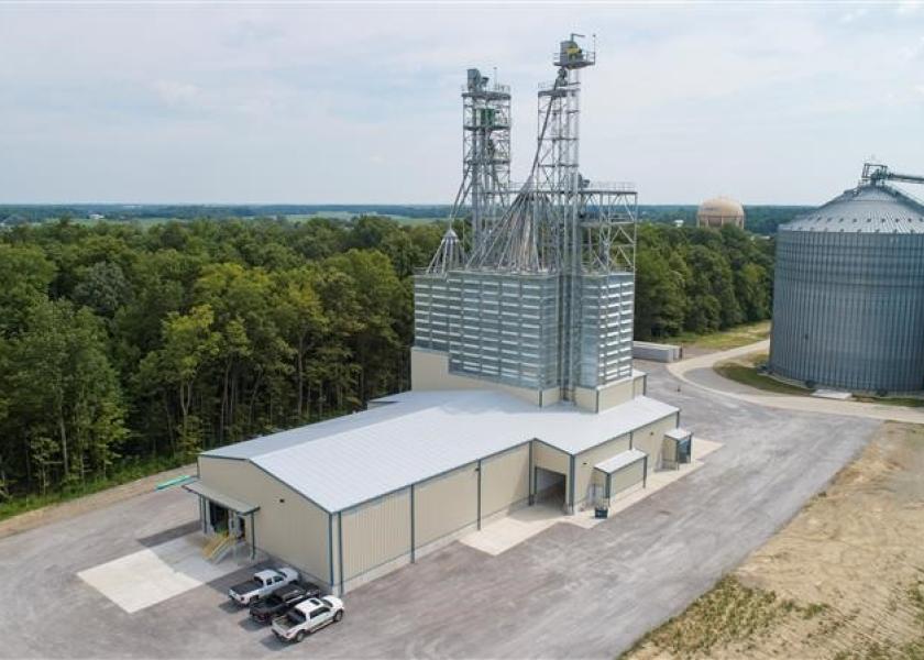 Why CoAlliance Is Investing in Pig Farming Pork Business