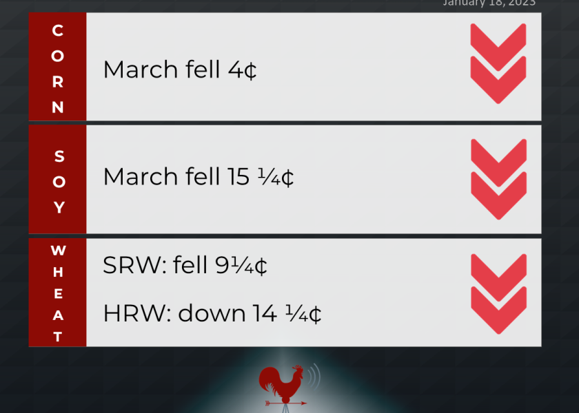 grains recap