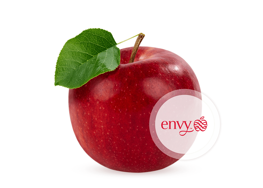 Fresh Envy Apple