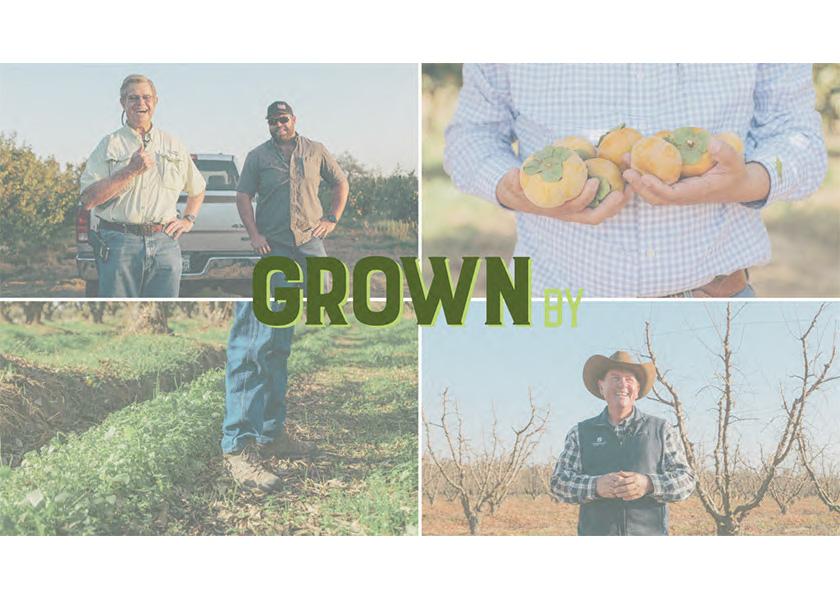 Homegrown Organic Farms is inviting YouTube viewers into the field to learn more about four stone fruit growers in the “Grown By” series, launching Friday, Jan. 6, 2023.