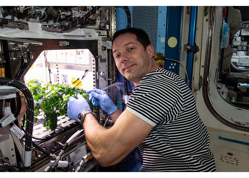 NASA’s Plant Habitat scientists are growing space gardens with fresh vegetable favorites to supplement astronaut diets and help them endure long-duration space travel to the moon, Mars and beyond.  