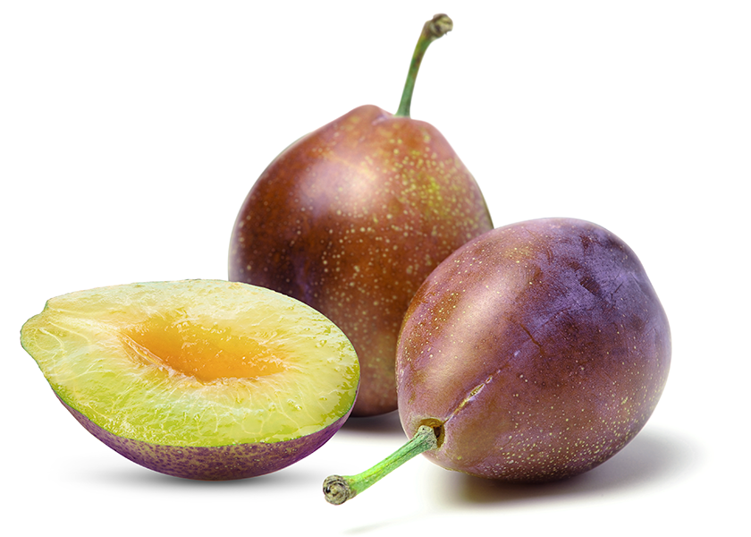 Sugar plums, grown in Chile, have red to purple skin with golden yellow flesh. They are one of four new specialty plum varieties being imported by Pacific Trellis Fruit. The others are lemon plums, extra sweet plums and watermelon plums.