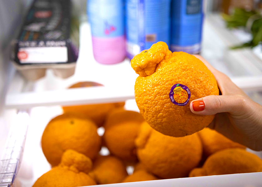 Sumo Oranges Are in Season Again, So Get Them While You Can