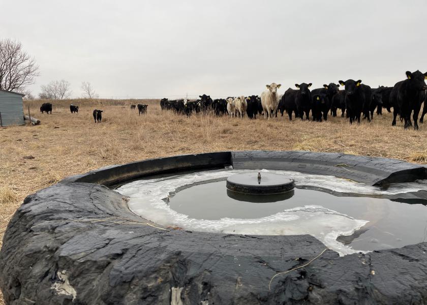 Manage cattle waterers to limit ice.