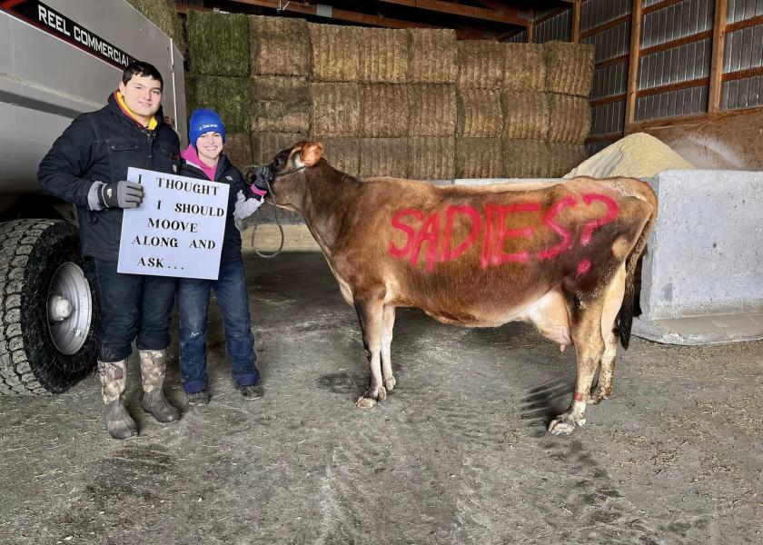 One of our prized Jersey cows, 8-year-old, Ariel, helped out with the proposal. 