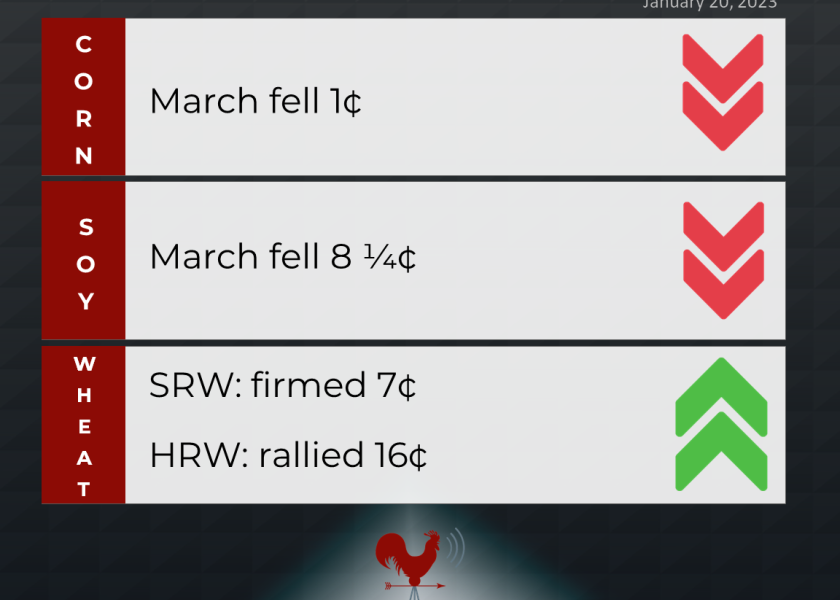 grains recap