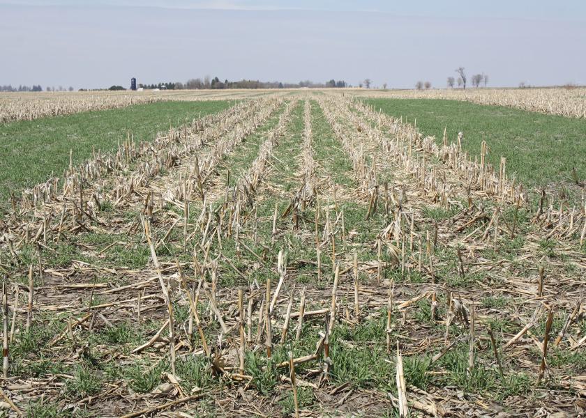 In Iowa, Dean Sponheim, is using a combination of strip-till, strip cropping and cover crops to build resiliency on his crop farm.