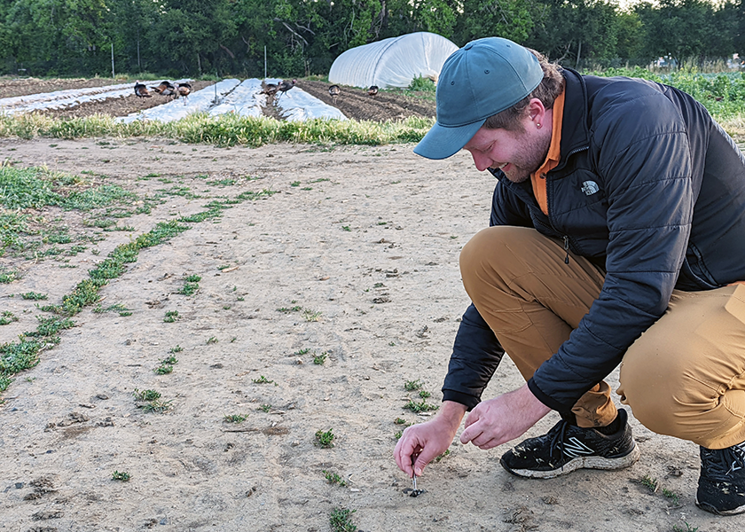 Austin Spence, research technician at the University of California, Davis, collects bird feces in and around produce fields. The project is one of 12 that will be discussed at the Center for Produce Safety Research Symposium in June. 