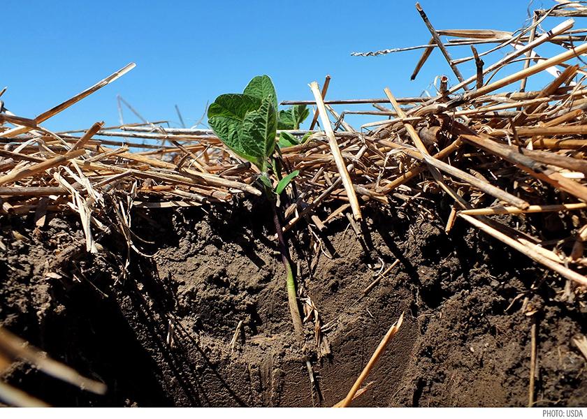 To combat volatile weather, mitigate rising input costs and meet agronomic goals, producers are making choices geared toward soil health.