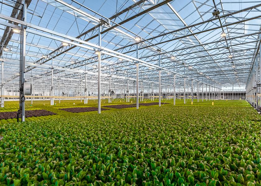 Pictured is a Gotham Greens greenhouse in Davis, Calif. 