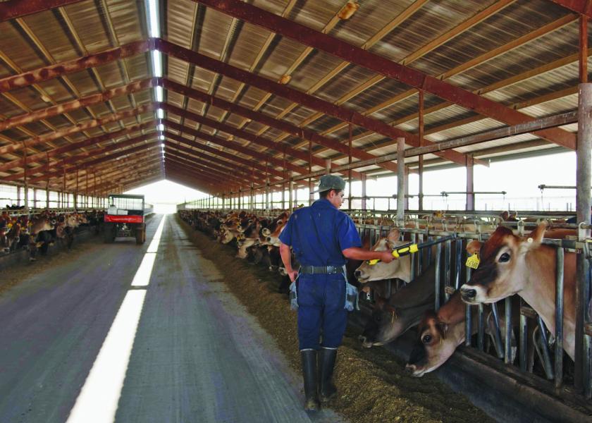 While different statistics equate to success, one standard measurement most dairies look at is the number of confirmed pregnancies in their herd. 