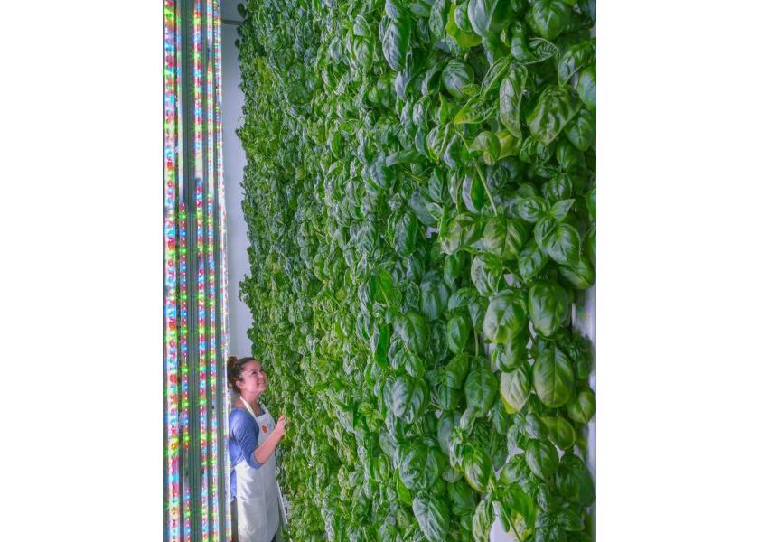 The deal means that Realty Income will acquire and provide funding for properties housing Plenty’s indoor farms and will lease back to the indoor grower with long-term net leases.