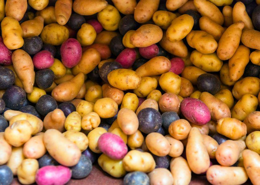 Potatoes are a retail powerhouse, statistics show.