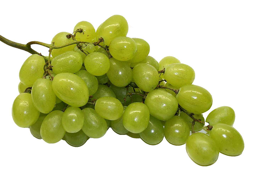 California dominates the fall grape supply.