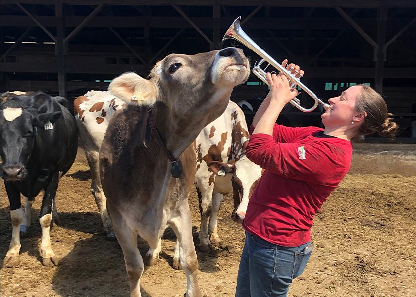 During COVID, Melissa Griffin pulled out her trumpet and played for her cows, who were very amused. 