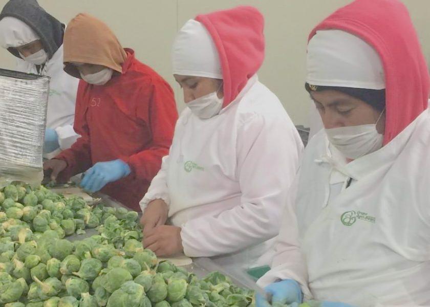 Farmworker Awareness Week is March 25-31. Learn on the "Tip of the Iceberg" podcast how to take advantage of this time to share your employees' stories.