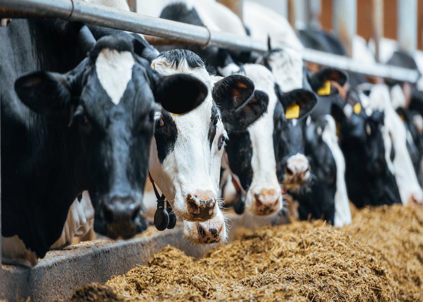  For the second consecutive year, dairy farmers are grappling with significantly higher input expenses. 