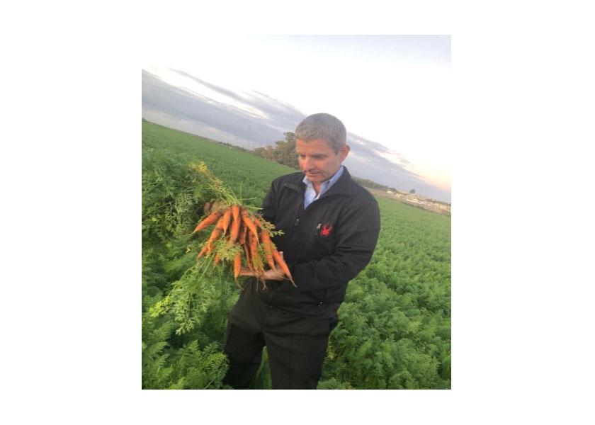 Israel-based BDA/Dorot Farm recently began exporting fresh and sweet carrots and is reporting a strong crop.