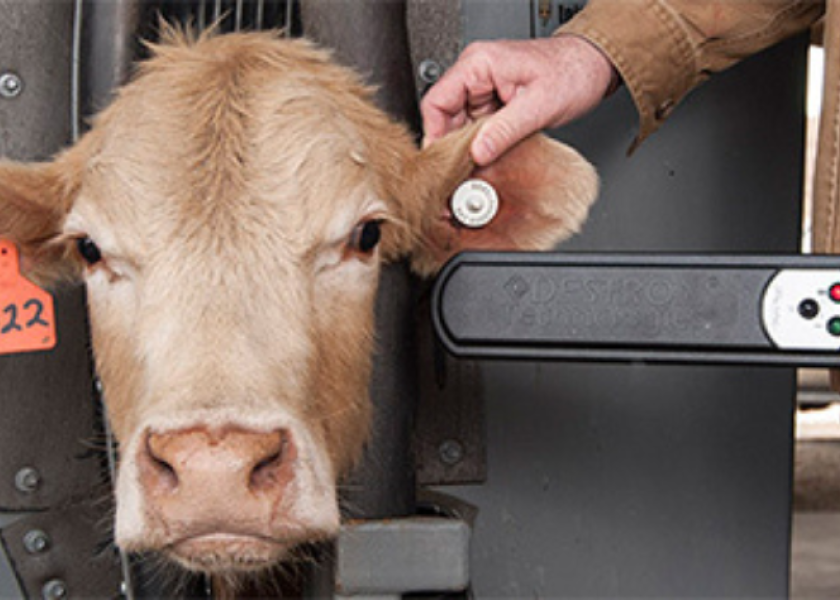 The comment period on a proposal to amend the animal disease traceability regulations and require electronic identification for interstate movement of certain cattle and bison has been extended 30 days, the USDA Animal and Plant Health Inspection Service (APHIS) announced late last week. 