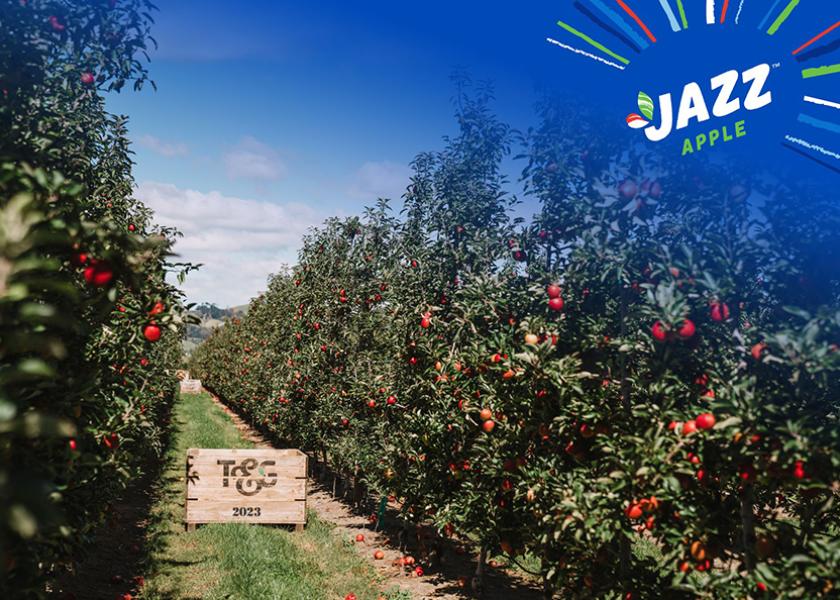 Early season poppi and royal gala apples are kicking off the New Zealand apple harvest season, with growers reporting high quality fruit despite recent cyclone. 