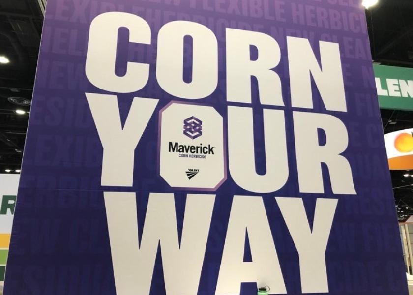 The company, known for its extensive work in soybeans, formally moves into the corn marketplace with its introduction of Maverick herbicide, now available for use this season
