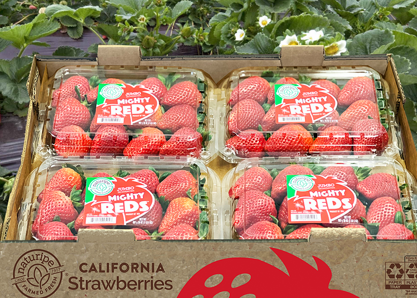Cutline: Mighty Reds come in a new single-layer, 20-ounce clamshell. The sustainable packaging, created to hold up to 15 strawberries, features a wash-away label.