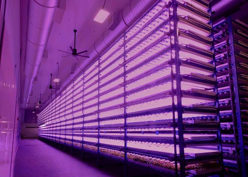 UP Vertical Farms has launched its inaugural facility in Pitt Meadows, British Columbia, alongside its sales and marketing partner, Oppy.