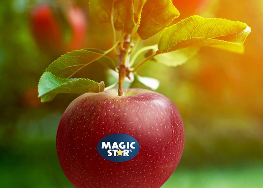 Proprietary Variety Management says Magic Star is a cross between the Elise apple and an unnamed scab-resistant cultivar.