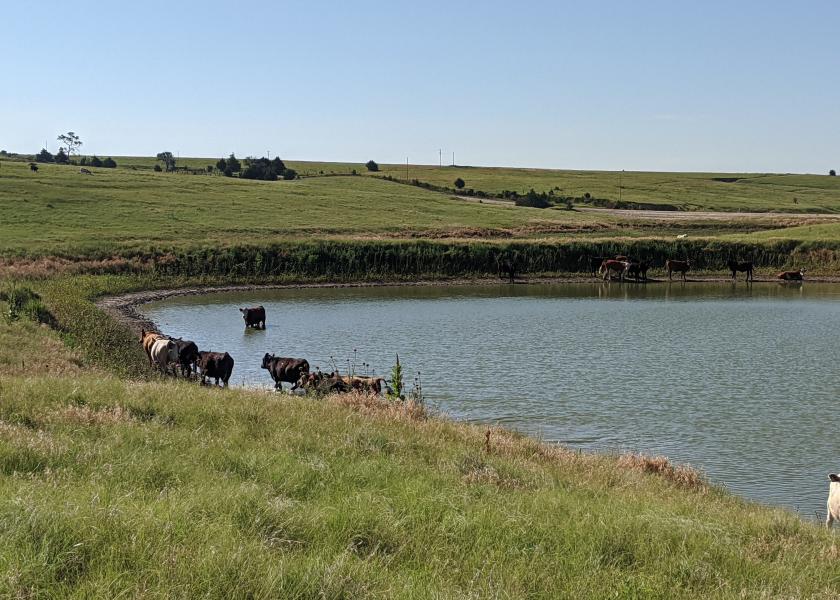 While the recent rule may be one of many WOTUS definitions, Mary Thomas Hart of NCBA shares how producers should prepare in reaction to the rule now in effect.