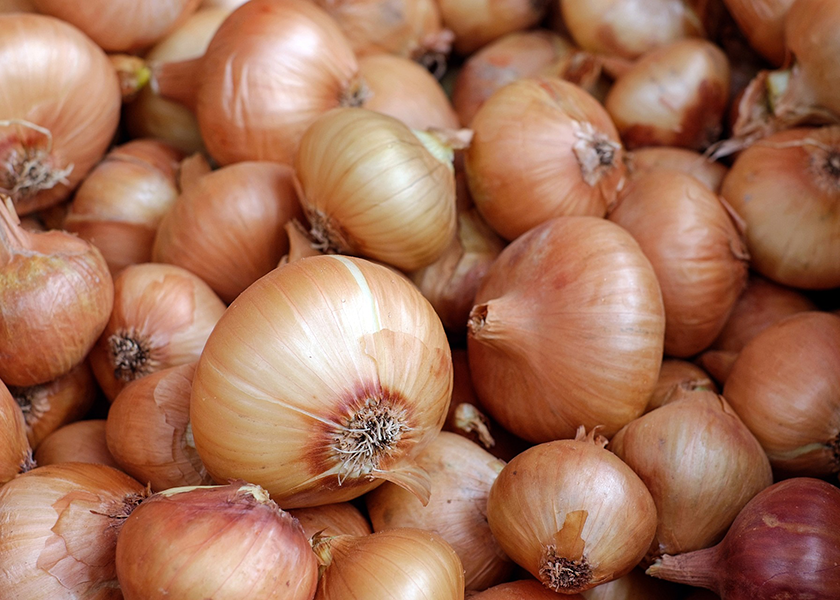 A warm growing season has spurred the progress of Texas onions, says Don Ed Holmes, president of The Onion House, Weslaco, Texas.