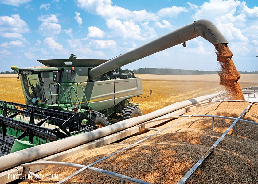 The same week as Brazil announced the approval of GE wheat for planting, BASF announced its decision to discontinue the investment of hybrid wheat in North America. 