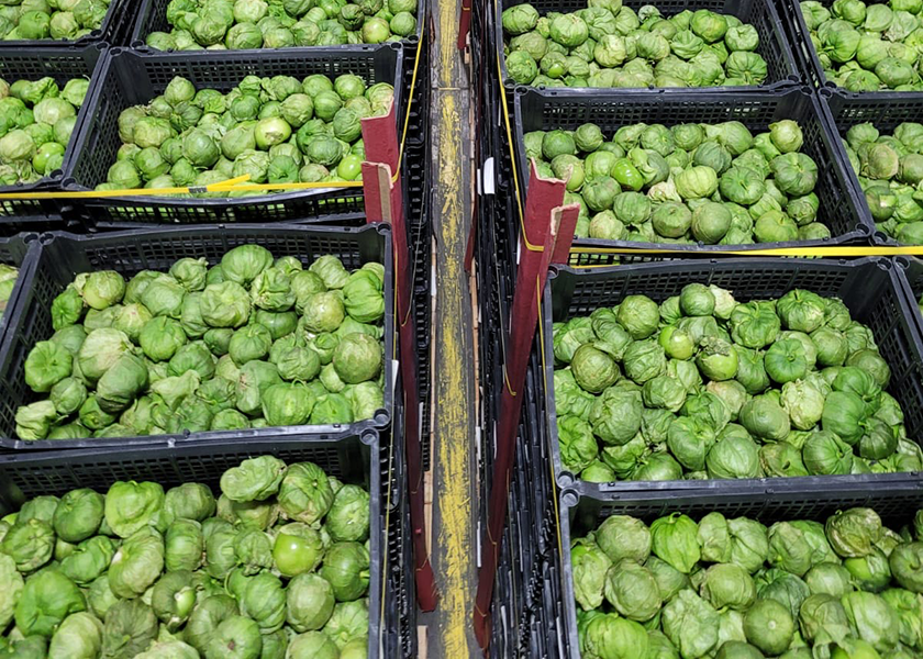 Tomatillos, chili peppers, eggplant, cucumbers, roma tomatoes and bell peppers will be included in the product line from Rich River Produce LLC in Rio Rico, Ariz., this spring, says Edgar Duarte, sales manager.