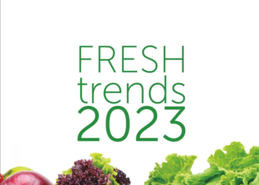 Fresh Trends 2023