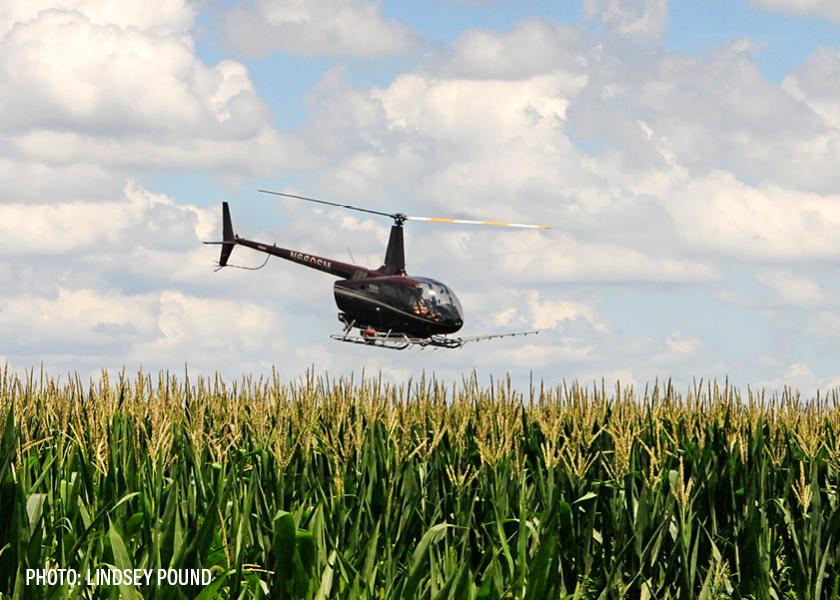 Ferrie: Corn Is Going Into The Home Stretch, Do You Need To Make A Second Fungicide Application?