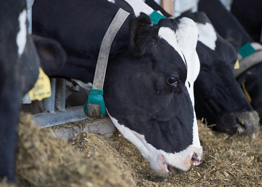 Animal monitoring systems can increase ROI by helping ensure the right cows get attention when they need it. 
