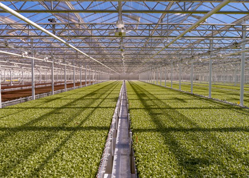 Little Leaf Farms Doubles Greenhouse Lettuce Capacity, Expands Along East  Coast