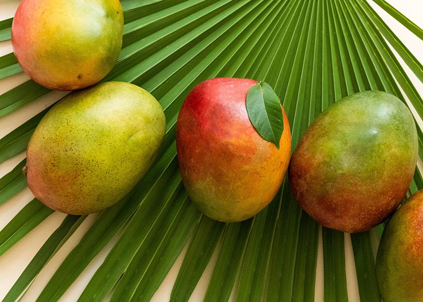 The National Mango Board opened its nominations for six open seats, each for a three-year term.