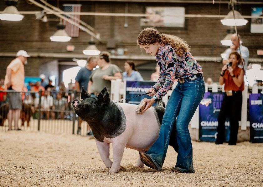 “Many young people are frustrated with their inability to show and exhibit 4-H and FFA projects because of how those opportunities are being received at their local schools,” explains Jesse Faber, an ag teacher at Pontiac Township High School and chairman of the Illinois Agricultural Education Legislative Committee. 