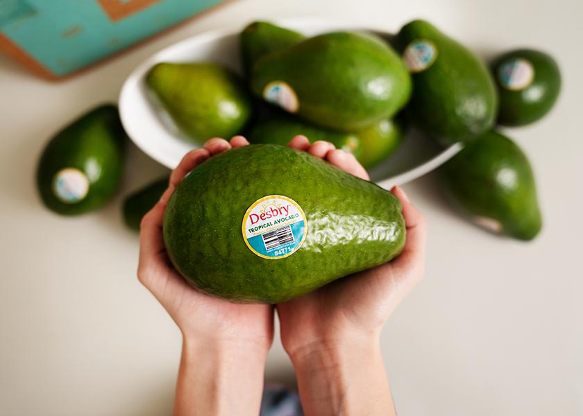 Tropical avocados are a typically larger variety of the fruit that is slower to oxidize, says Miami-based grower-packer-shipper WP Produce.