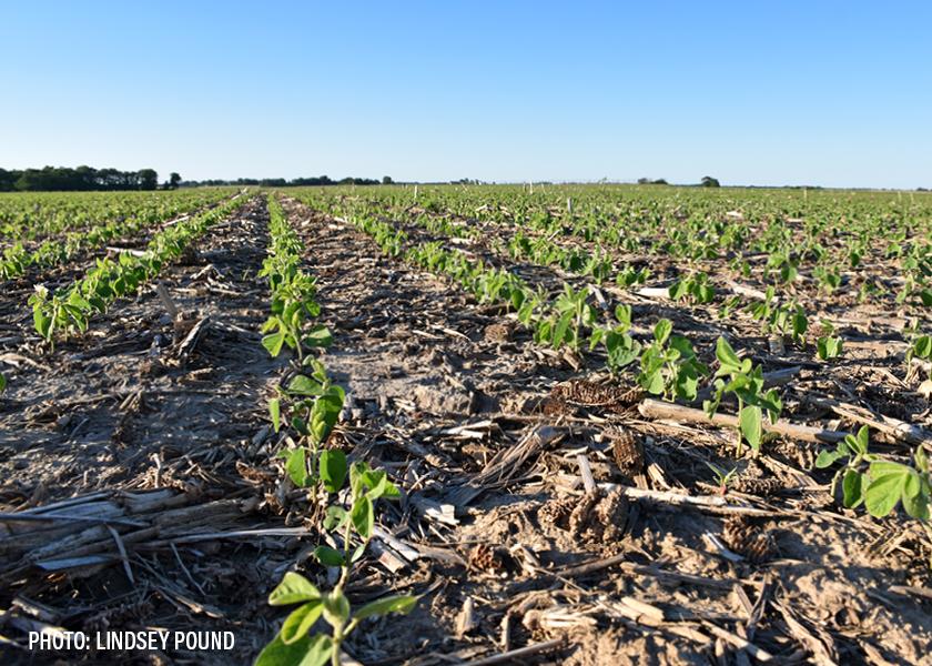 Last Day To Buy And Distribute Dicamba In 2024 For Four States