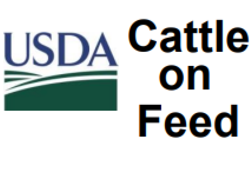 USDA's Cattle on Feed Report
