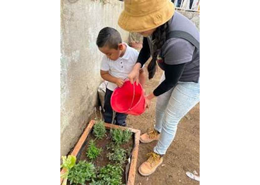 A student at a Mexican school waters a seedling with help from a NatureSweet employee.