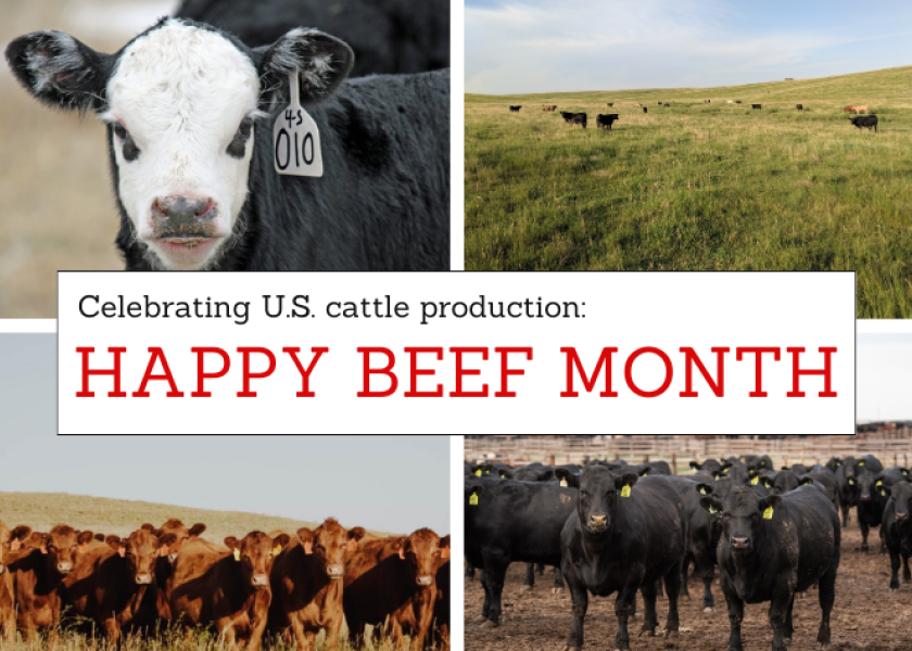 Discover the rich history and transformative changes in U.S. beef cattle production, from early settlers to modern innovations and technology in the industry. Happy Beef Month to all cattlemen and cattlewomen!