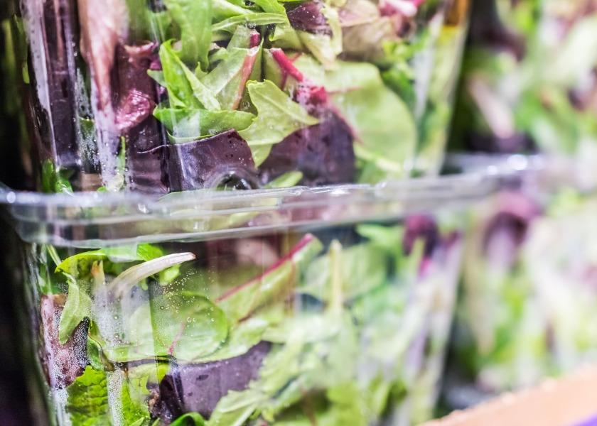 The agribusiness and sustainable food investor has added packaged salad company, organicgirl, to its portfolio of strategic investments that include Blazer Wilkinson Gee, Laurel AG & Water, Pacific Trellis Fruit and Royal Ridge Fruits.