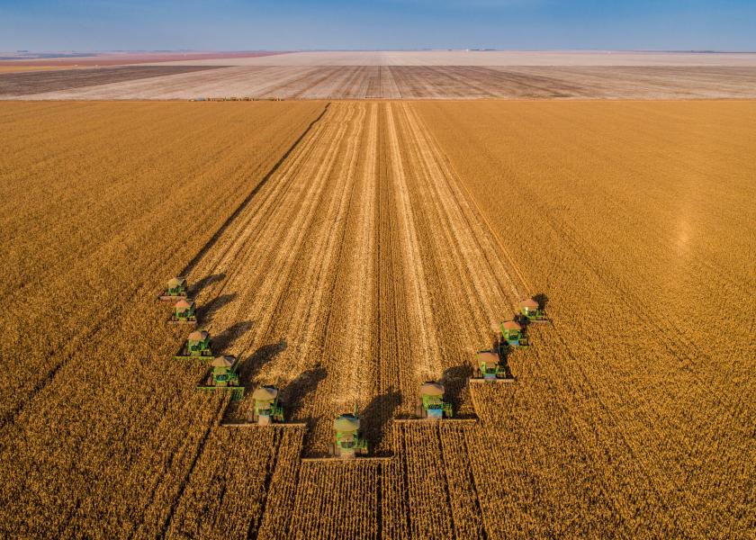 Update on Mexico's GMO Corn Ban Ag